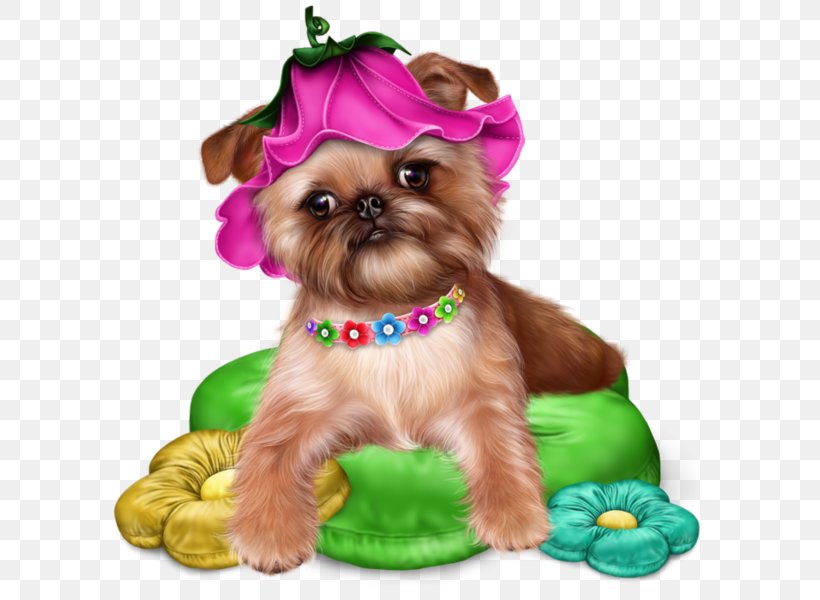 Shih Tzu Yorkshire Terrier Clip Art Poodle Maltese Dog, PNG, 600x600px, Shih Tzu, Animal, Carnivoran, Companion Dog, Dog Download Free