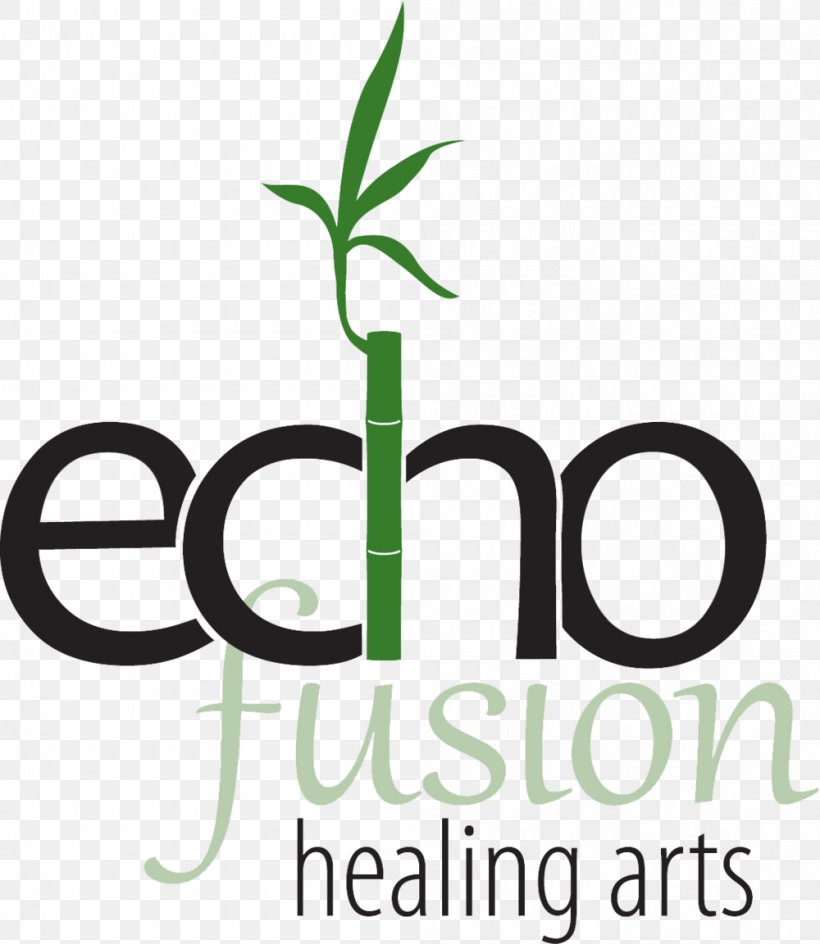 Echo Fusion Healing Arts Logo Massage Therapy, PNG, 1000x1152px, Logo, Area, Artwork, Brand, Business Download Free