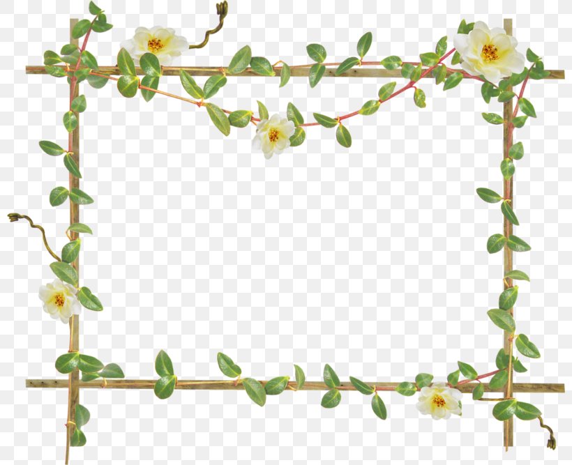 Picture Frames Photography Clip Art, PNG, 800x667px, Picture Frames, Area, Blossom, Branch, Collage Download Free