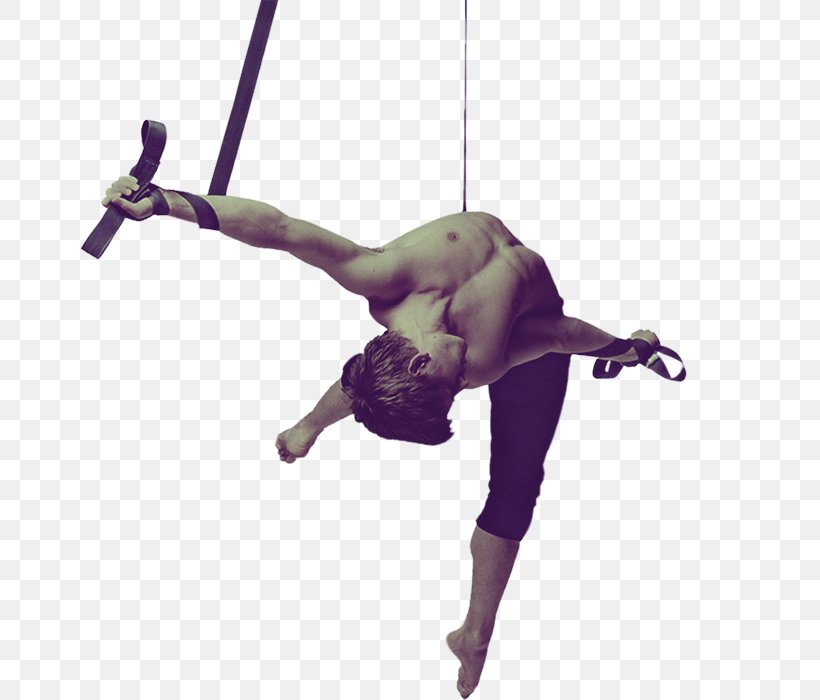 Static Trapeze Школа цирковой гимнастики и Pole Dance Air People Circus Gymnastics Acrobatics, PNG, 658x700px, Static Trapeze, Acrobatics, Air, Art, Belt Download Free