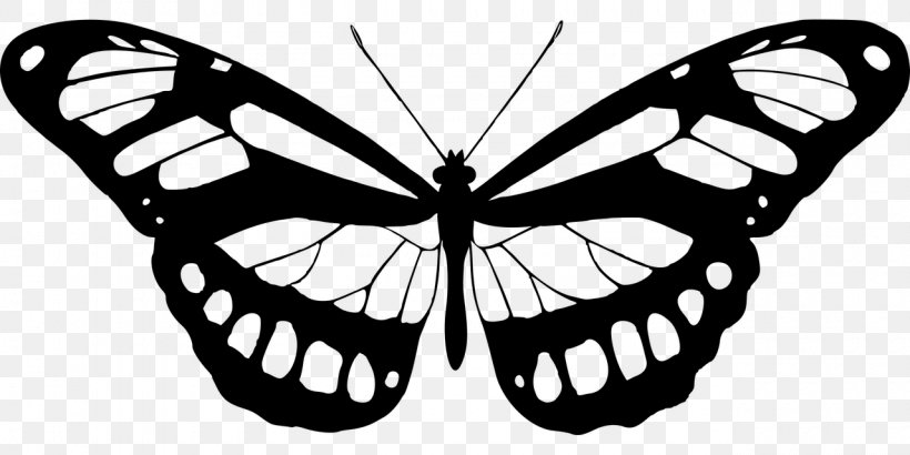 Butterfly Printmaking Art Wall Decal Painting, PNG, 1280x640px, Butterfly, Art, Arthropod, Artist, Black And White Download Free
