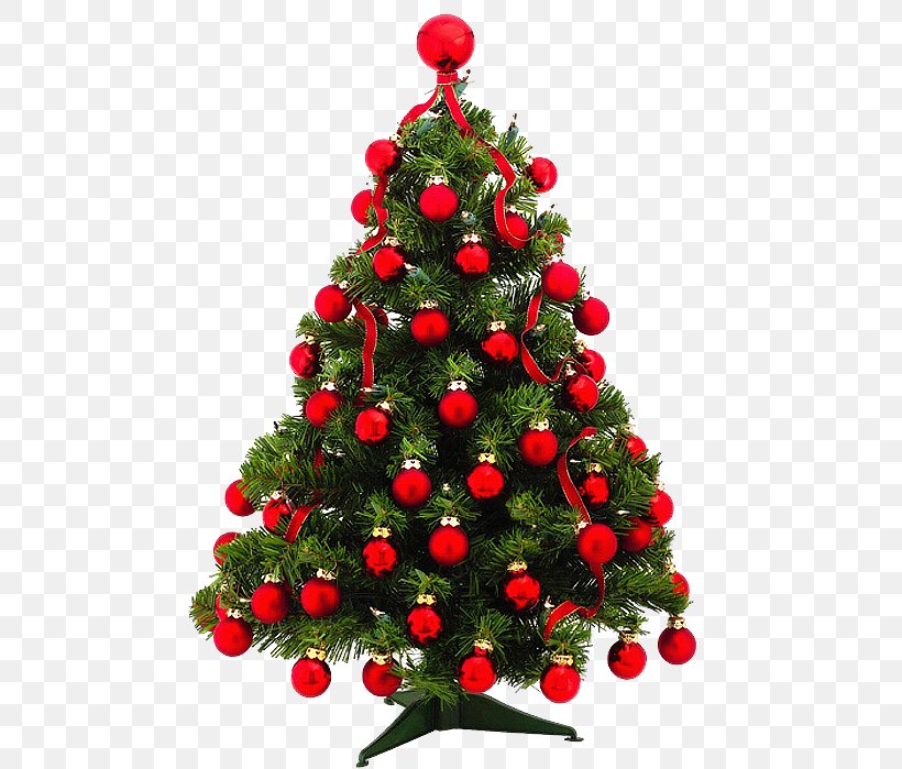 Christmas Tree Pine Christmas Ornament Fir, PNG, 488x699px, Christmas Tree, Christmas, Christmas Decoration, Christmas Ornament, Color Download Free