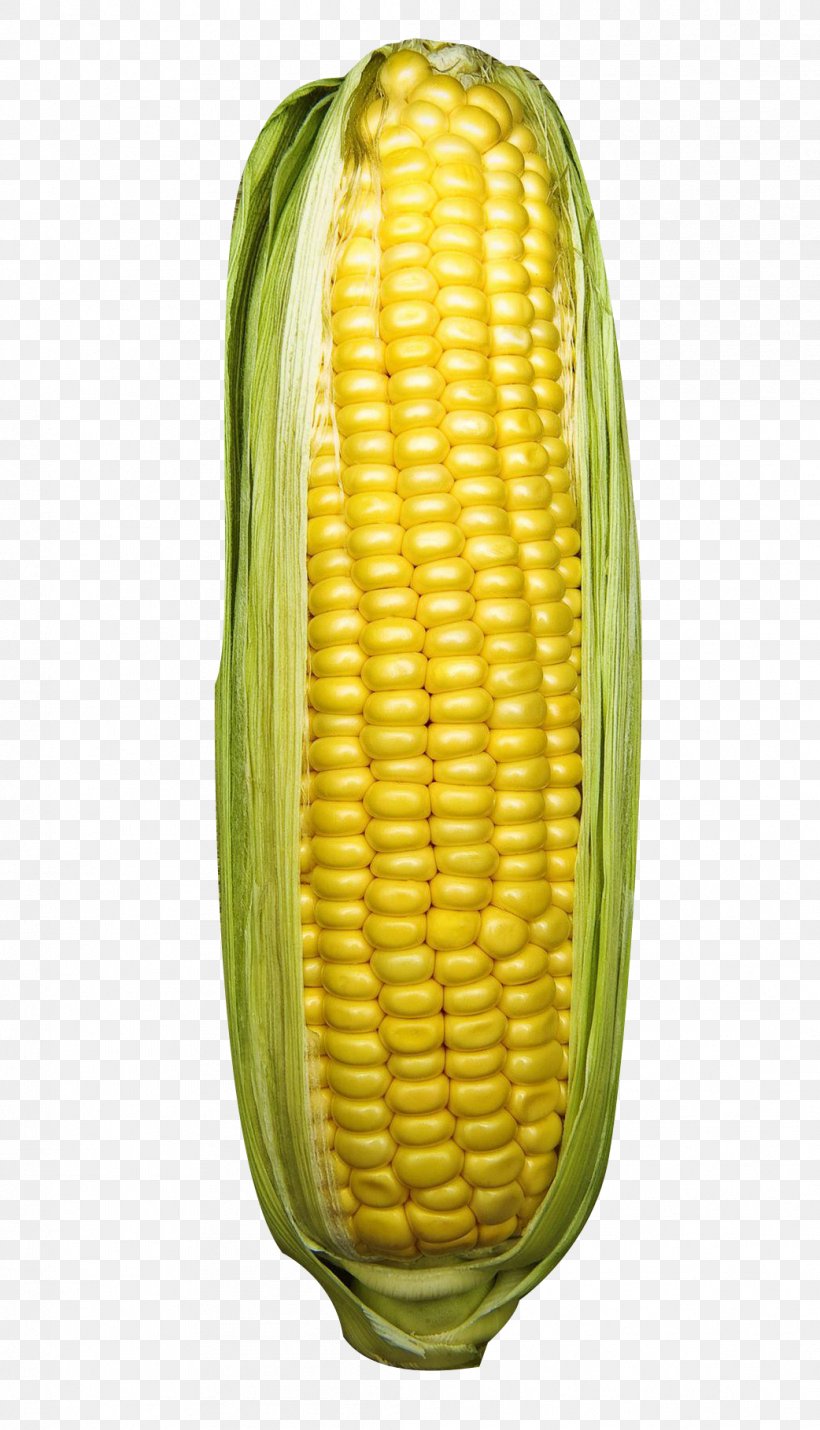 Corn On The Cob Corn Kernel Sweet Corn Commodity Fruit, PNG, 1042x1818px, Corn On The Cob, Commodity, Corn Kernel, Corn Kernels, Food Download Free