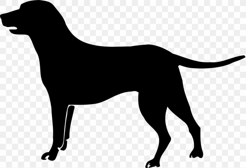 Labrador Retriever Golden Retriever Puppy Vizsla Boston Terrier, PNG, 1000x685px, Labrador Retriever, Animal, Black, Black And White, Boston Terrier Download Free