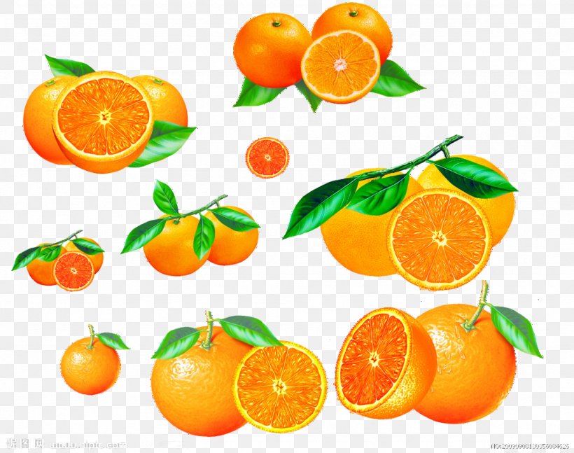 Mandarin Orange Fruit Bergamot Orange, PNG, 1024x809px, Mandarin Orange, Auglis, Bergamot Orange, Bitter Orange, Calamondin Download Free