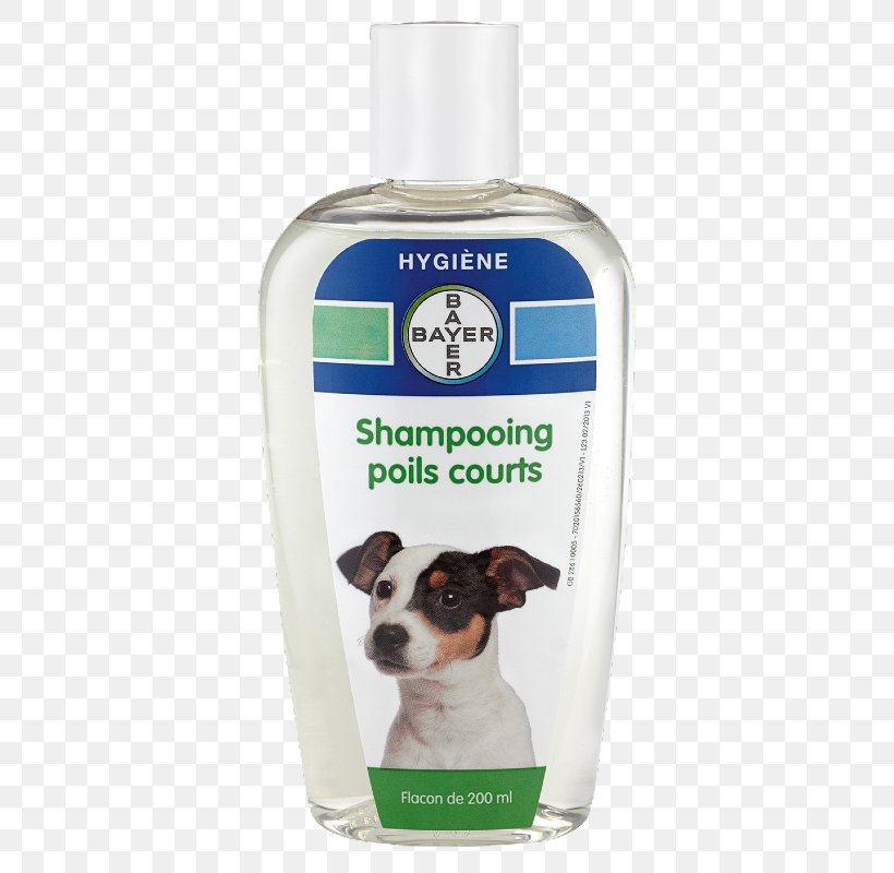 Smooth Collie Jack Russell Terrier Shampoo Lotion Puppy, PNG, 533x800px, Smooth Collie, Dog, Dog Agility, Hygiene, Jack Russell Terrier Download Free