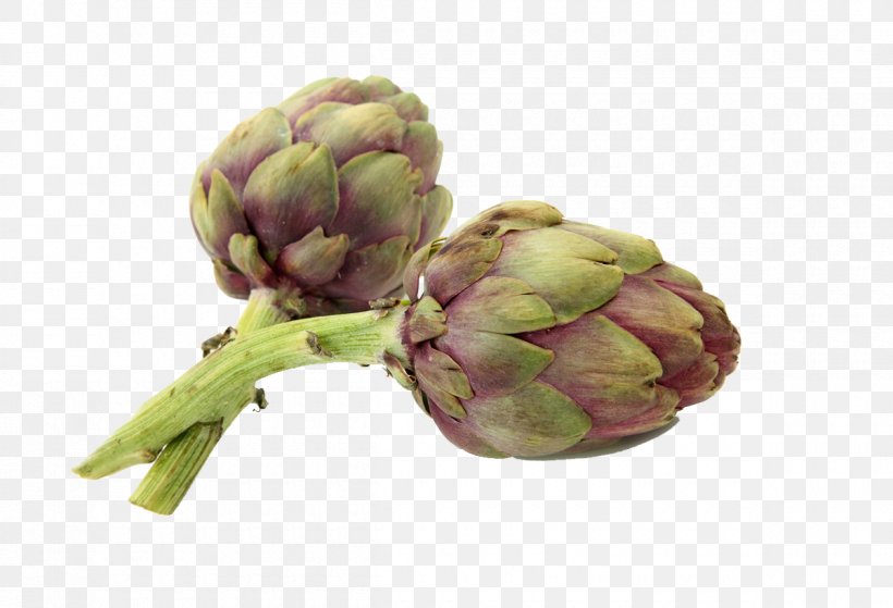 Artichoke Vegetable, PNG, 1200x819px, Artichoke, Cardoon, Cynara, Food, Fruit Download Free