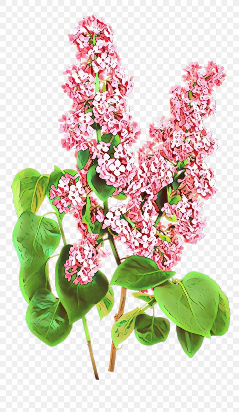 Flower Plant Flowering Plant Branch Smartweed-buckwheat Family, PNG, 903x1558px, Cartoon, Blossom, Branch, Flower, Flowering Plant Download Free