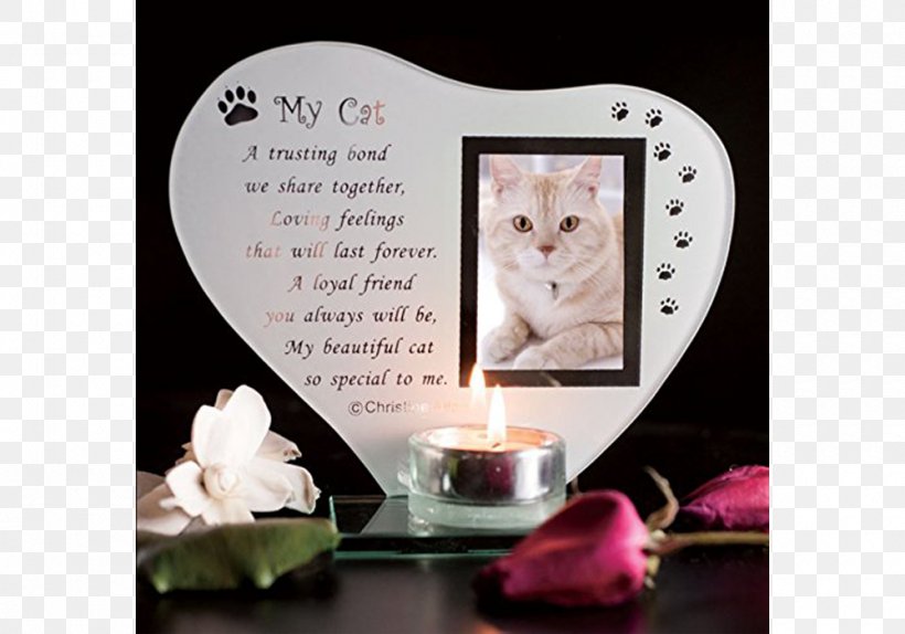 Picture Frames Cat Glass Commemorative Plaque Pet, PNG, 1000x700px, Picture Frames, Breed, Candle, Cat, Ceramic Download Free