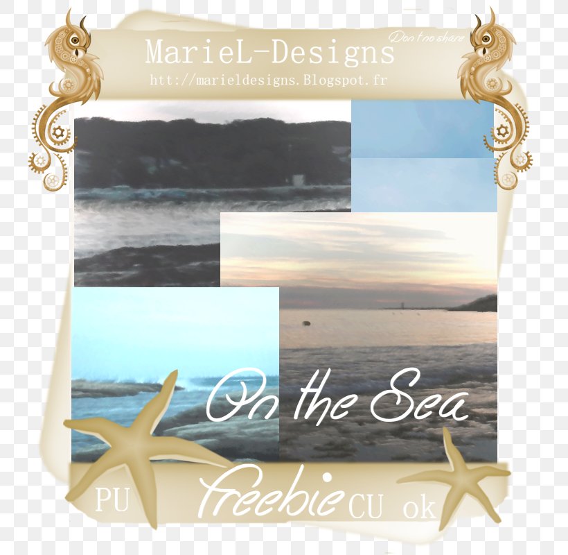 Picture Frames Place Cards Font, PNG, 800x800px, Picture Frames, Blue, Picture Frame, Place Card, Place Cards Download Free