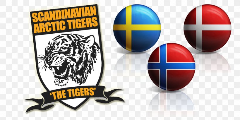 Scandinavia Hull City Tiger .com .nu, PNG, 1000x500px, Scandinavia, Brand, Com, Conflagration, Efl Championship Download Free