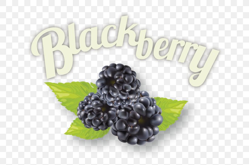 BlackBerry Superfood Jam Ingredient, PNG, 670x543px, Blackberry, Berry, Food, Fruit, Ingredient Download Free