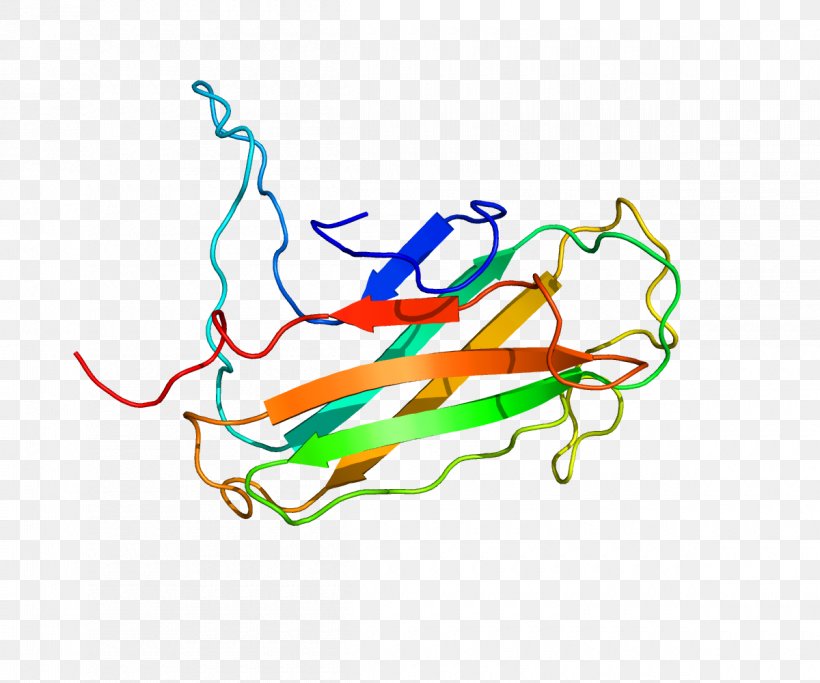 Lymphocyte Antigen 96 TLR4 Protein Toll-like Receptor Endotoxin, PNG, 1200x1000px, Protein, Antigen, Area, Art, Artwork Download Free