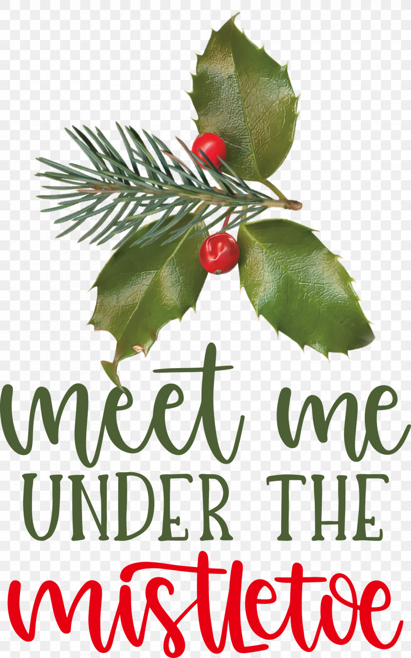 Meet Me Under The Mistletoe Mistletoe, PNG, 1871x3000px, Mistletoe, Aquifoliales, Christmas Day, Christmas Ornament, Christmas Ornament M Download Free