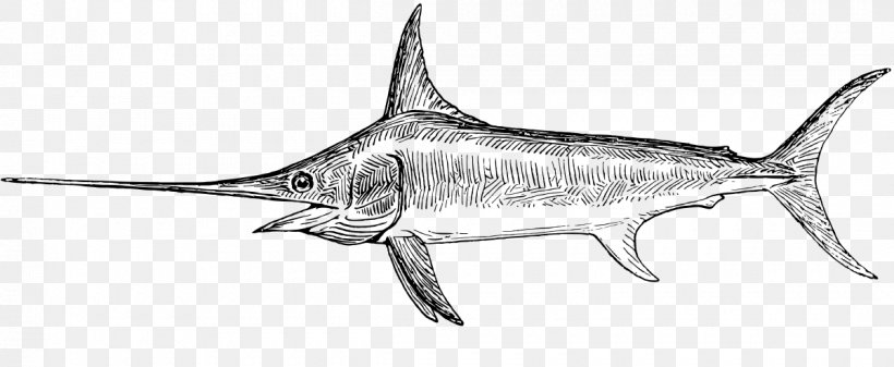 Swordfish Coloring Book Drawing Clip Art, PNG, 1200x494px, Swordfish, Animal Figure, Artwork, Billfish, Black And White Download Free