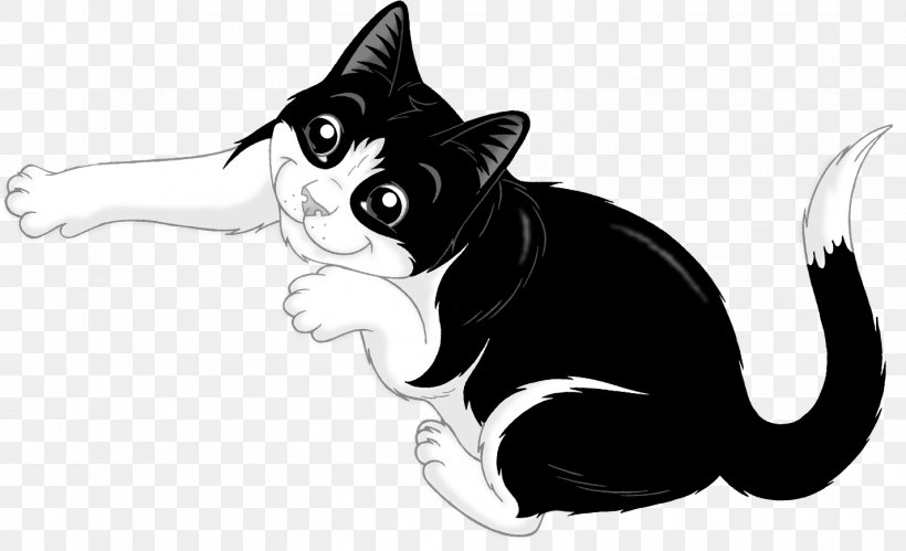 Kitten Whiskers Black Cat Felix The Cat, PNG, 1427x869px, Kitten, Animated  Film, Black, Black And White,