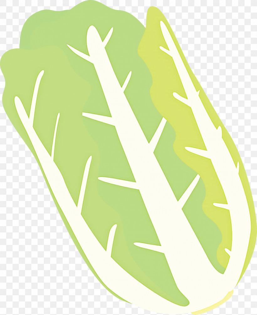 Nappa Cabbage, PNG, 2451x3000px, Nappa Cabbage, Green Download Free