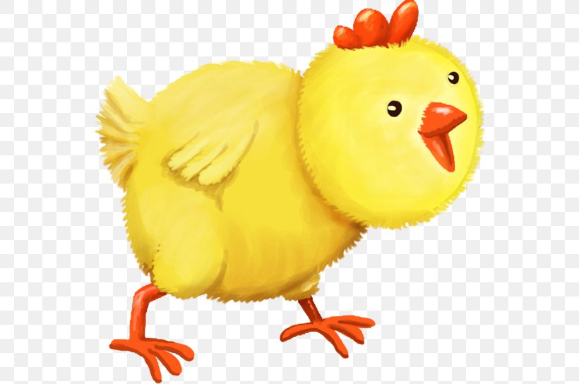 Rooster Clip Art Beak Chicken As Food Animal, PNG, 556x544px, Rooster, Animal, Animal Figure, Beak, Bird Download Free