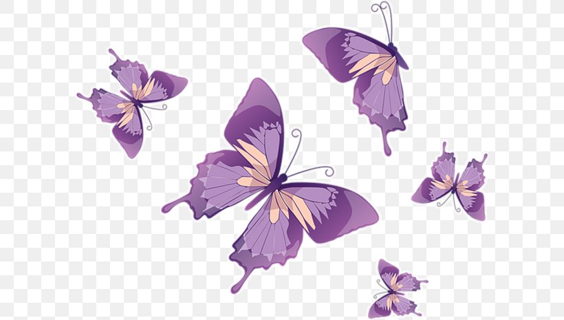 Butterfly Royalty-free Euclidean Vector Clip Art, PNG, 600x465px, Butterfly, Arthropod, Brush Footed Butterfly, Flora, Flower Download Free