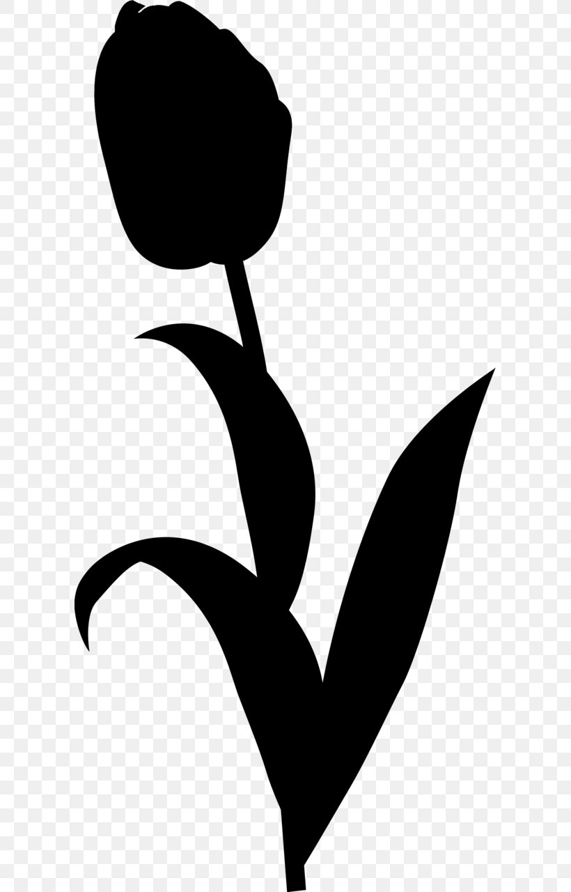 Flower Clip Art Plant Stem Leaf Silhouette, PNG, 605x1280px, Flower, Black M, Blackandwhite, Botany, Branching Download Free