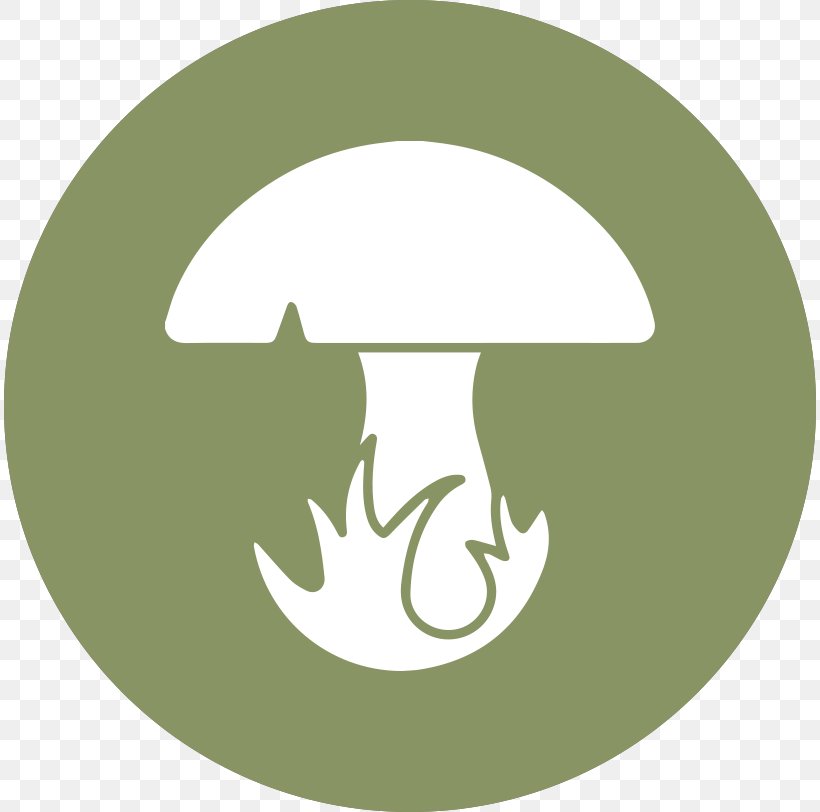 Fungus Mycology Royalty-free, PNG, 812x812px, Fungus, Boletus Edulis, Brand, Depositphotos, Digital Image Download Free