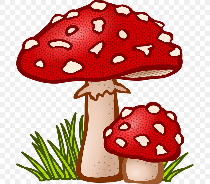 Mushroom Clip Art, PNG, 693x720px, Mushroom, Common Mushroom, Drawing, Edible Mushroom, Food Download Free