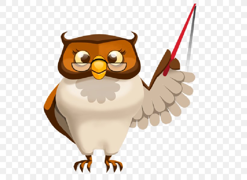 Owl Teacher Education School Clip Art, PNG, 600x600px, Owl, Beak, Bird, Bird Of Prey, Cartoon Download Free