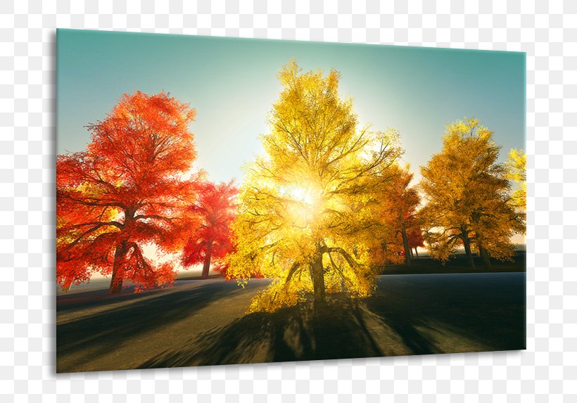 Painting Autumn Color Schilderij 3 Stock Photography, PNG, 764x573px, Painting, Autumn, Canvas, Color, Leaf Download Free