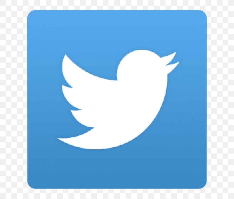 Social Media Logo, PNG, 700x700px, Social Media, Android, Beak, Bird, Facebook Download Free