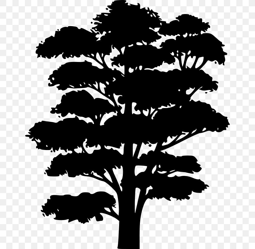 Clip Art Silhouette Tree Branch Oak, PNG, 660x800px, Silhouette, Art, Blackandwhite, Botany, Branch Download Free