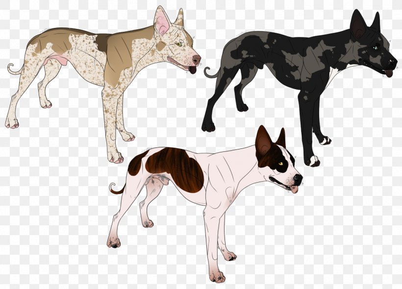 Dog Breed Canidae Carnivora Animal, PNG, 1363x982px, Dog, Animal, Breed, Canidae, Carnivora Download Free