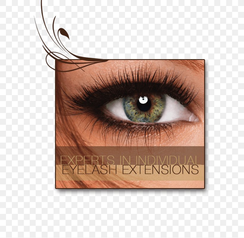 Eyelash Extensions Cosmetics Beauty Parlour Waxing, PNG, 594x801px, Watercolor, Cartoon, Flower, Frame, Heart Download Free