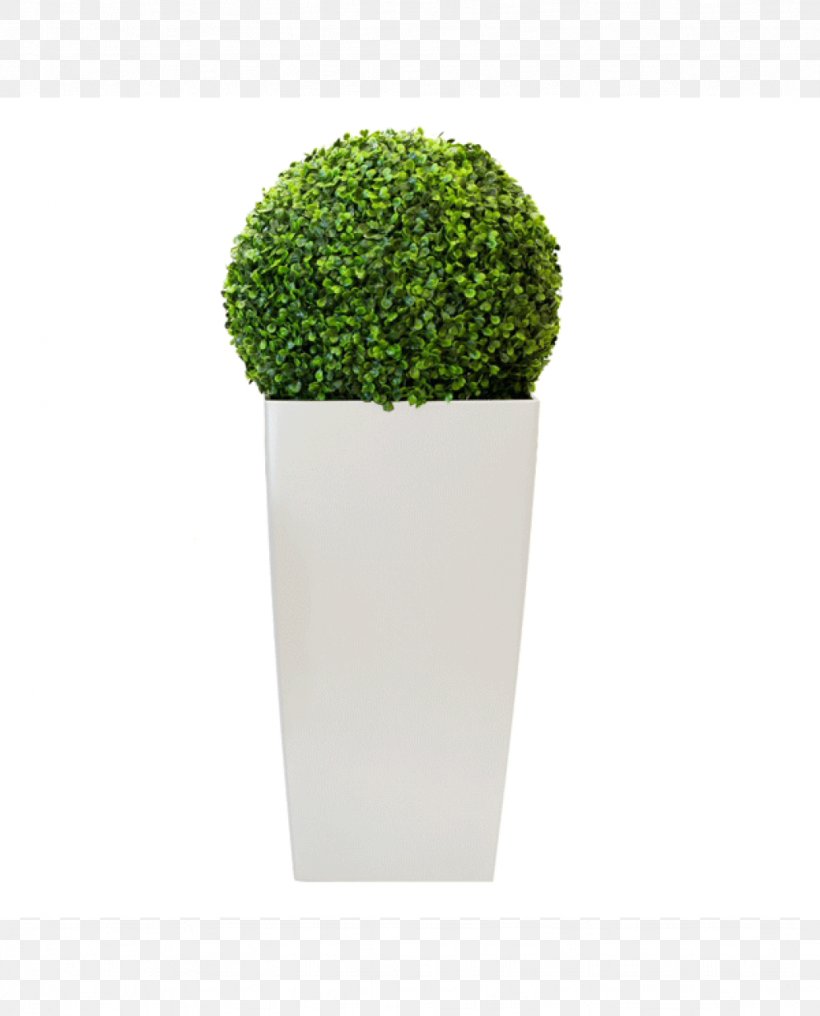 Flowerpot, PNG, 1024x1269px, Flowerpot, Grass, Green, Plant, Vase Download Free