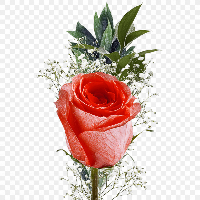 Garden Roses, PNG, 1000x1000px, Flower, Anthurium, Artificial Flower, Bouquet, Cut Flowers Download Free