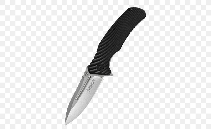 Hunting & Survival Knives Pocketknife Utility Knives Blade, PNG, 500x500px, Hunting Survival Knives, Blade, Bowie Knife, Buck Knives, Cold Weapon Download Free
