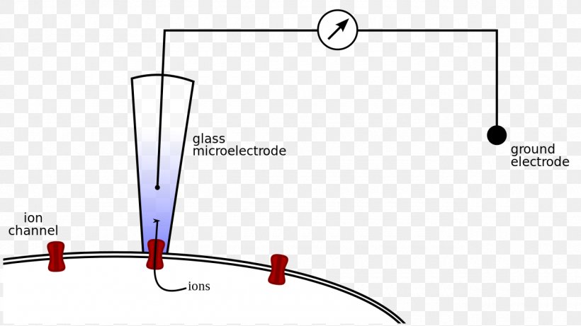 Patch Clamp Microelectrode Electrophysiology, PNG, 1280x720px, Patch Clamp, Area, Diagram, Electrode, Electrophysiology Download Free