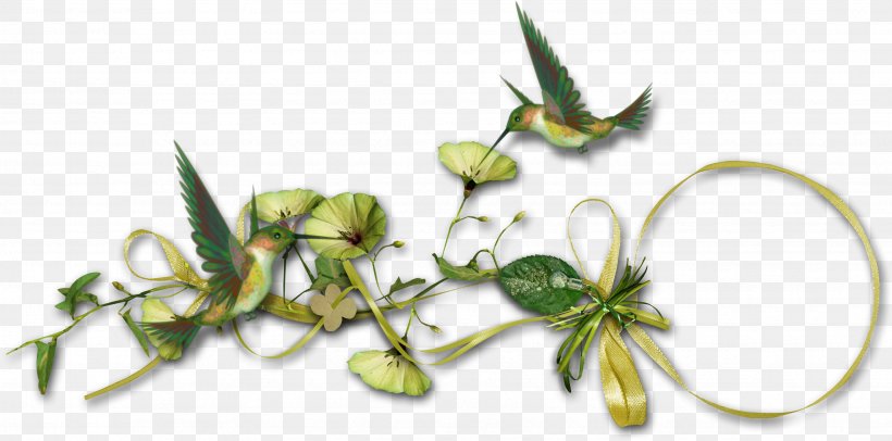 Colibri, PNG, 3454x1713px, Alt Attribute, Grass, Leaf, Organism, Plant Download Free