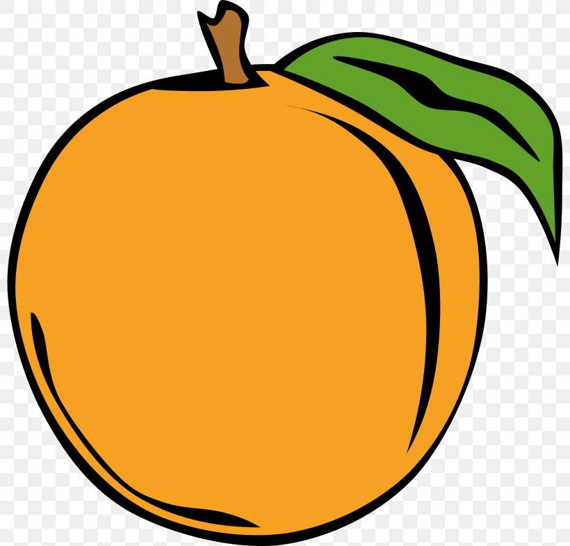Peach Clip Art, PNG, 800x785px, Peach, Apple, Artwork, Calabaza, Commodity Download Free