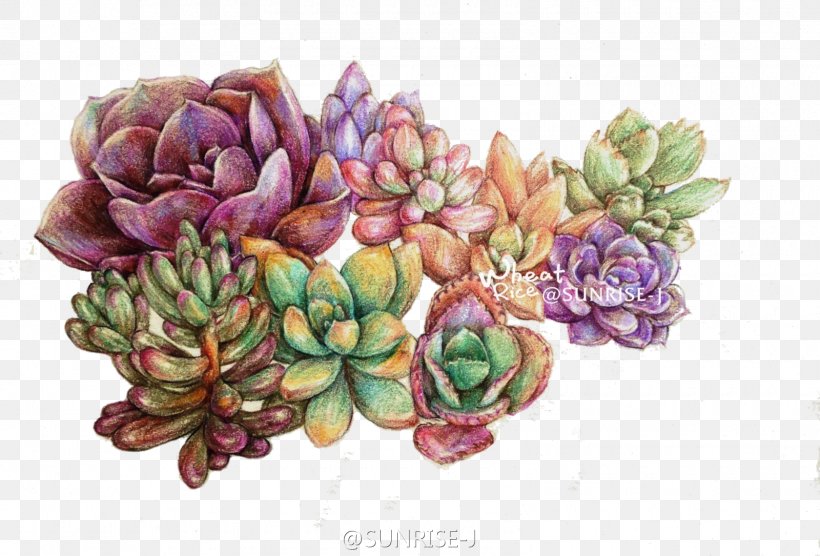 Succulent Plant Colored Pencil Watercolor Painting Leaf, PNG, 1600x1085px, Succulent Plant, Bonsai, Color, Colored Pencil, Cut Flowers Download Free
