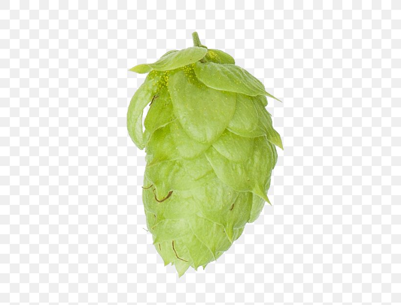 Leaf Vegetable, PNG, 460x625px, Leaf, Humulus Lupulus, Leaf Vegetable Download Free