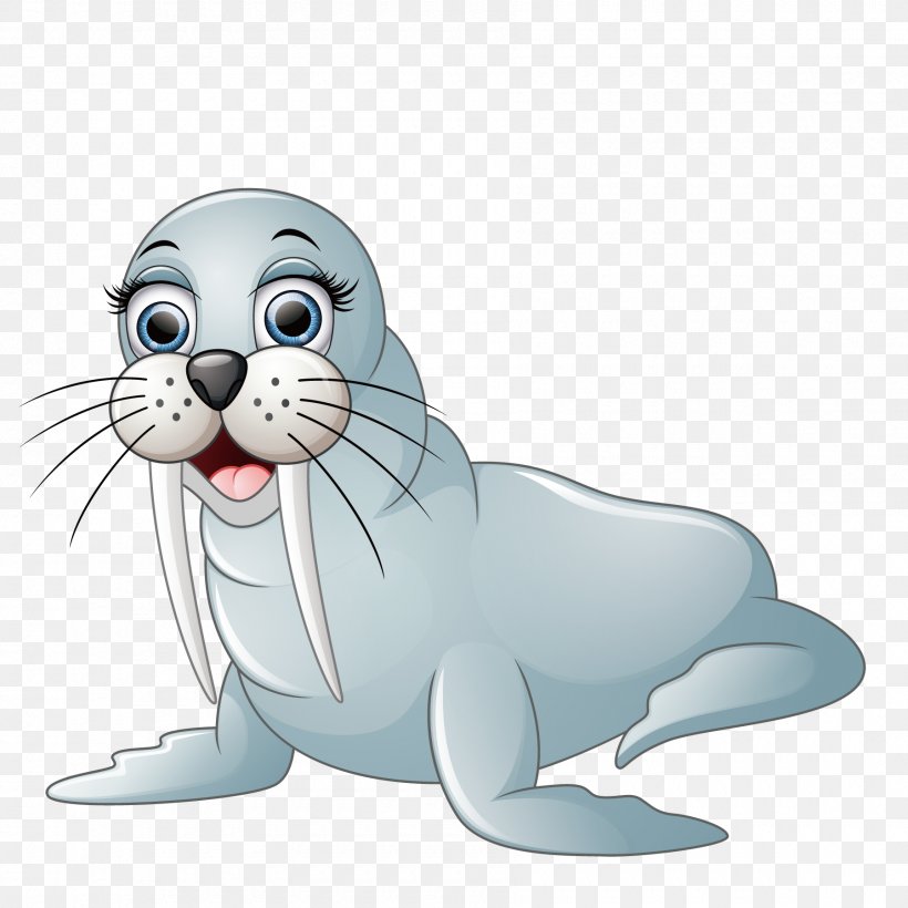 Walrus Cartoon Illustration, PNG, 1800x1800px, Walrus, Art, Carnivoran, Cartoon, Cat Download Free