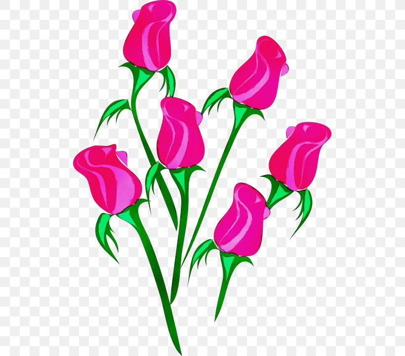 Flower Cut Flowers Pedicel Pink Plant, PNG, 523x720px, Watercolor, Cut Flowers, Flower, Magenta, Paint Download Free