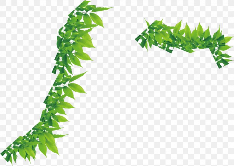 Leaf Green, PNG, 1277x908px, Leaf, Art, Designer, Google Images, Grass Download Free