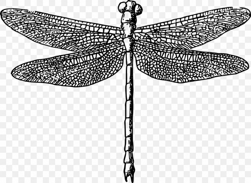 Paper Dragonfly Printing Clip Art, PNG, 960x702px, Paper, Art, Arthropod, Black And White, Butterfly Download Free