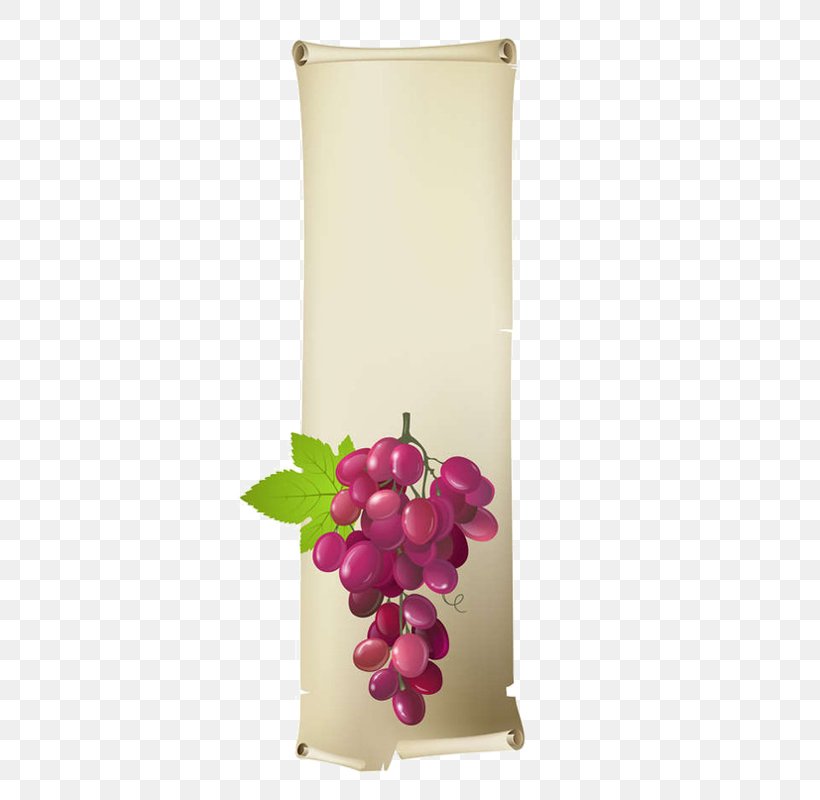 Vector Graphics Royalty-free Image Grape Illustration, PNG, 361x800px, Royaltyfree, Floral Design, Flowerpot, Grape, Grapevine Family Download Free