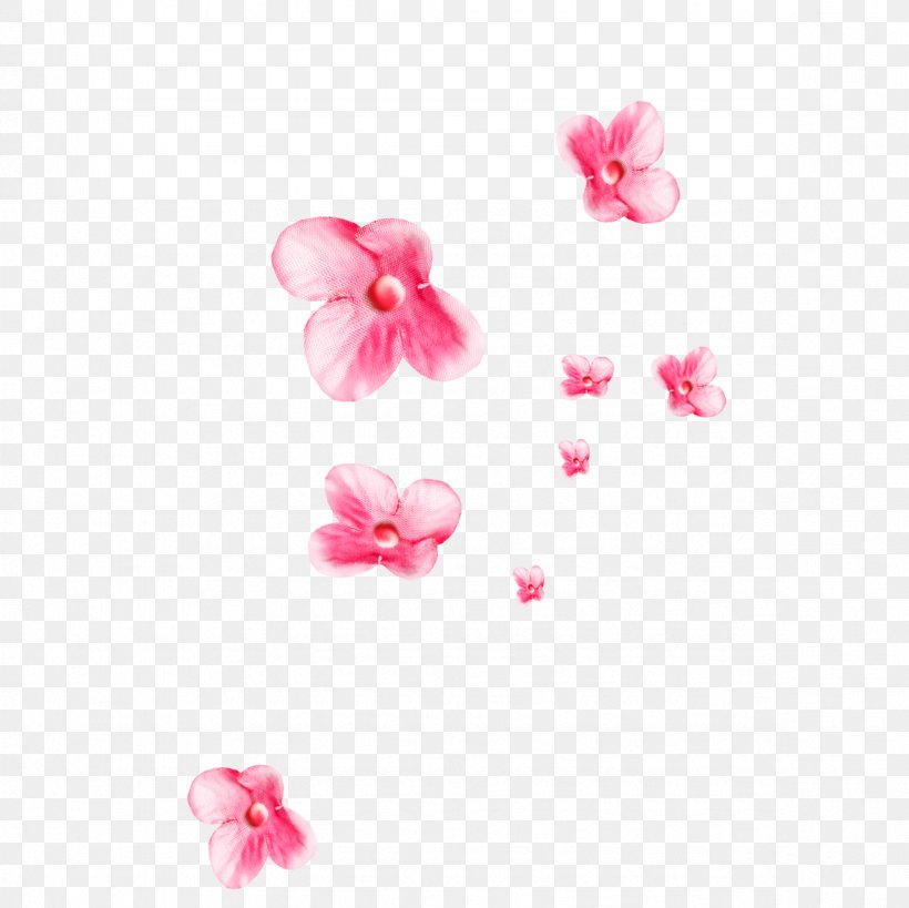 Clip Art, PNG, 1181x1181px, Polyvore, Blossom, Body Jewelry, Cherry Blossom, Flower Download Free