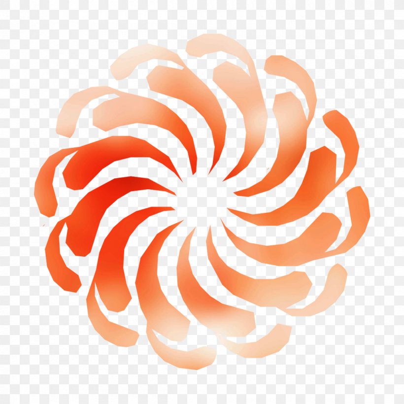 Nautiluses Spiral Line Pattern Font, PNG, 1200x1200px, Nautiluses, Fahrenheit, Orange, Peach, Spiral Download Free