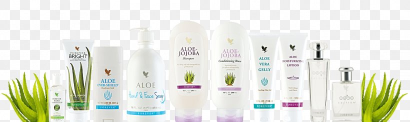Personal Care Vitacost Forever Living Products Aloe Vera Cosmetics, PNG, 1108x331px, Personal Care, Aloe Vera, Aloes, Beauty, Brush Download Free