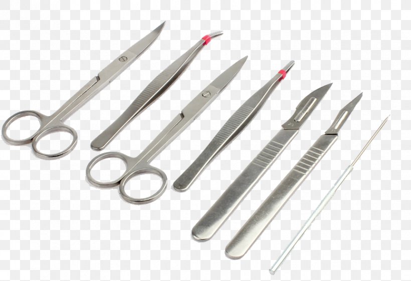Scissors Hair-cutting Shears, PNG, 862x591px, Scissors, Hair, Hair Shear, Haircutting Shears, Tool Download Free