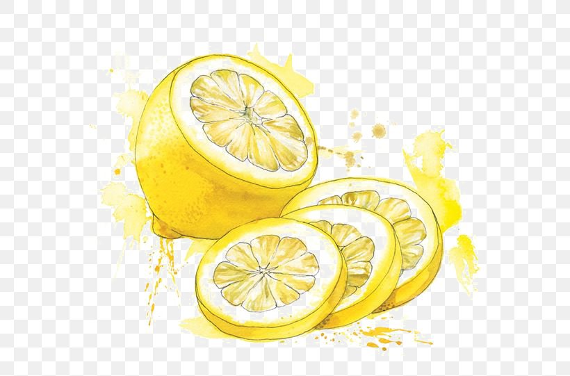 Watercolor Painting Food Drawing Illustration, PNG, 564x541px, Watercolor Painting, Art, Citric Acid, Citron, Citrus Download Free